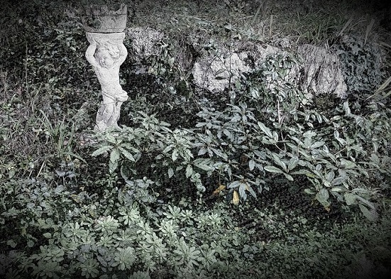 disegno di esempio di un giardino roccioso